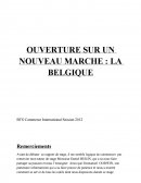 Rapport de Stage U52 BTS CI