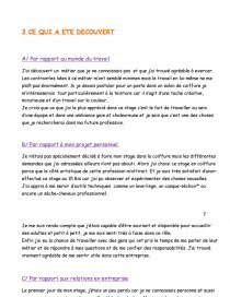 Rapport De Stage Coiffure Conclusion