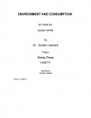 Environment consumption