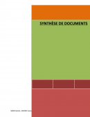 Synthèse de documents cas