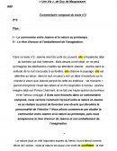 Une Vie - Commentaire composé du texte n°2, I – La communion entre Jeanne et la nature au printemps. II – Le rêve d’amour et l’emballement de l’imagination.