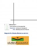 Rapport de stage wafa assurances