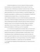 L’interprète peut également avoir recours aux réponses des ministres aux questions écrites (procédure qui s’est beaucoup développée ces dernières années). Si le sens d’une disposition est obscur, un parlementaire peut interroger le ministre