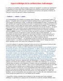 Purgation des passions