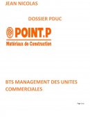 LE DIAGNOSTIC PARTIEL DE L’UNITE COMMERCIALE