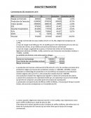 Commentaire analyse financiére