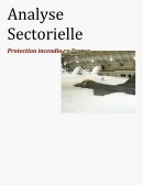 Analyse Sectorielle PI
