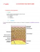 Le systeme tégumaire