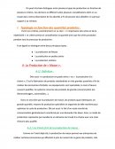 Typologie de production