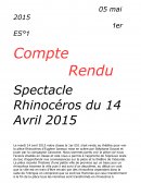 Compte Rendu piece de theatre Rhinoceros
