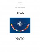 L'Otan et la Paix mondiale