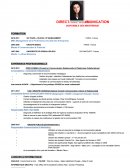 CV Responsable Communication