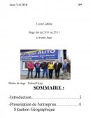 Rapport de stage