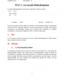 TP lactate déshydrogénase