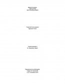 Travail de fin de session Sigmund Freud