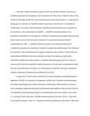 Dissertation éco