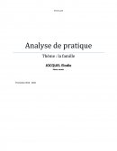 Analyse de partique