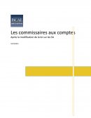 Les commissaires aux comptes