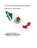 Etude pays mexique