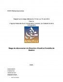 Audit et Contrôle de Gestion cas