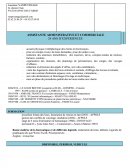 Cv assistante administrative et commerciale