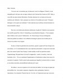 Critique litteraire- MAgnus- Sylvie Germain