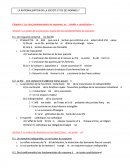 La rationalisation de la société