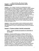 Analyser le portefeuille des clients professionnels