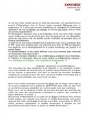 Synthèse TPE PRESSE PAPIER/NUMERIQUE