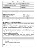 FICHE DESCRIPTIVE D’ACTION PROFESSIONNELLE