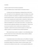 Synthese Gestion 1ére STMG Comment Un Individu Devient-il Acteur Dans Une Organisation?