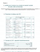 Du compte de résultat l’activité de cette unité commerciale