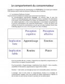 Cours sur le comportement consommateur