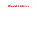 Rapport d’Activités