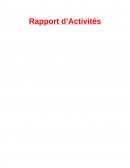 Rapport d’Activités