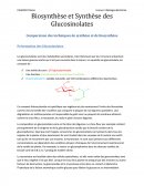 Biosynthèse et Synthèse des Glucosinolates