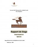 Rapport de stage BP