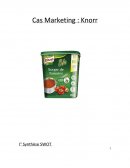 Cas Marketing : Knorr