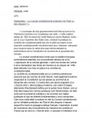 Dissertation : «Le conseil constitutionnel protection de l'Etat ou des citoyens ? »