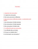 Les Zones Grises
