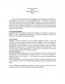 Commentaire de «Zone»