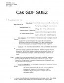 Cas GDF Suez