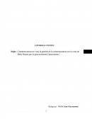 Comment percevez-vous la gestion de la communication sur la crise de Boko Haram par le gouvernement Camerounais ?