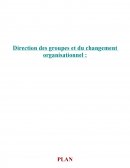 Direction de groupe et changement organisationnel
