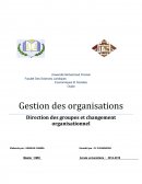 Direction de groupe et changement organisationnel