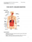 Maladies digestives