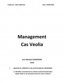 Management Cas Veolia