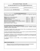 FICHE DESCRIPTIVE D’ACTION PROFESSIONNELLE