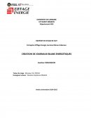 CREATION DE JOURNAUX BILANS ENERGETIQUES