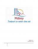 Business Plan "Mdinty"